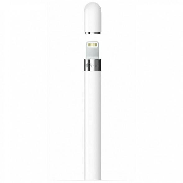 Стилус Apple Pencil (1-го поколения) с USB-C to Apple Pencil адаптером (MQLY3) в Екатеринбурге