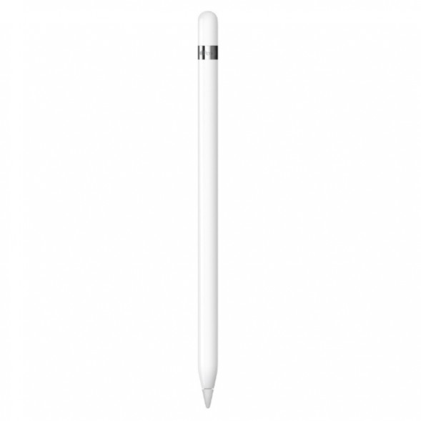 Стилус Apple Pencil (1-го поколения) с USB-C to Apple Pencil адаптером (MQLY3) в Екатеринбурге
