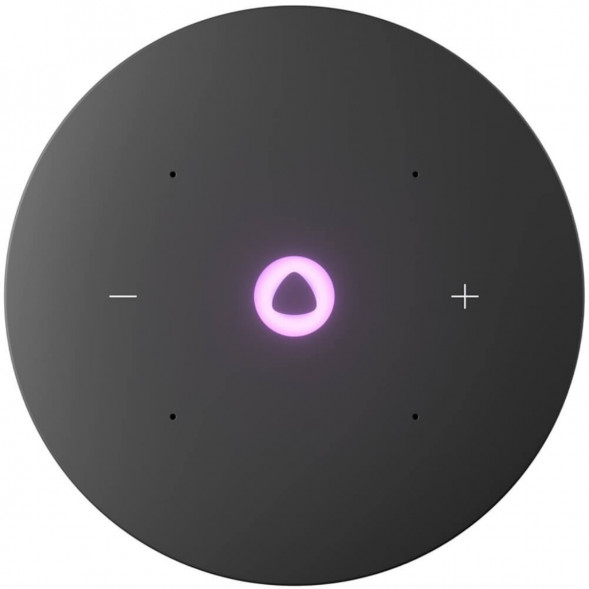 Умная колонка Яндекс Станция Мини 3 Про с Алисой с Zigbee, серый в Екатеринбурге