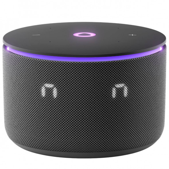 Умная колонка Яндекс Станция Мини 3 Про с Алисой с Zigbee, черный в Екатеринбурге