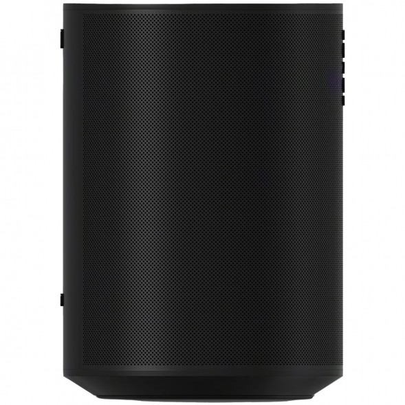 Умная колонка Sonos Era 100, черный в Екатеринбурге