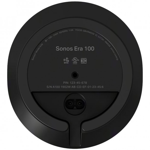 Умная колонка Sonos Era 100, черный в Екатеринбурге