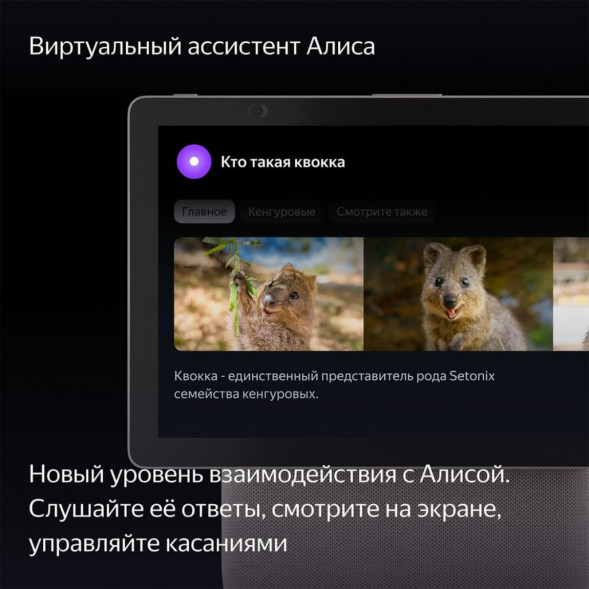 Яндекс Станция Дуо Макс с Алисой, с Zigbee, 60 Вт, бежевый в Екатеринбурге