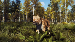 Игра Way of the Hunter: Wild Expeditions [PS5, русские субтитры]