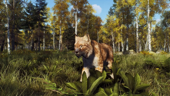 Игра Way of the Hunter: Wild Expeditions [PS5, русские субтитры] в Екатеринбурге