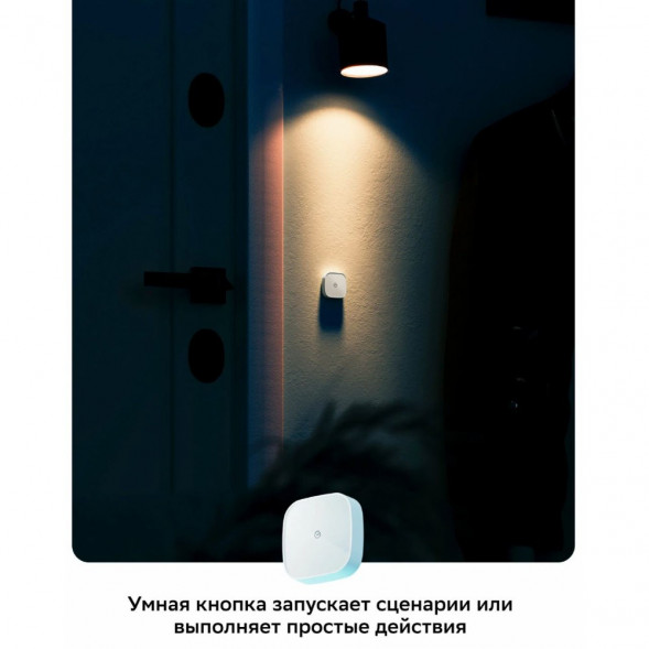 Умная кнопка Sber SBDV-00032 в Екатеринбурге