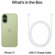 Смартфон Apple iPhone 17 256GB eSim, Sage в Екатеринбурге