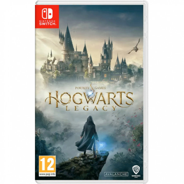 Игра Hogwarts Legacy [Nintendo Switch, русские субтитры] в Екатеринбурге