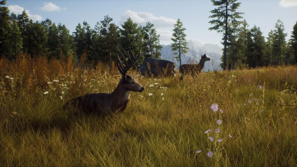 Игра Way of the Hunter [PS5, русские субтитры] в Екатеринбурге