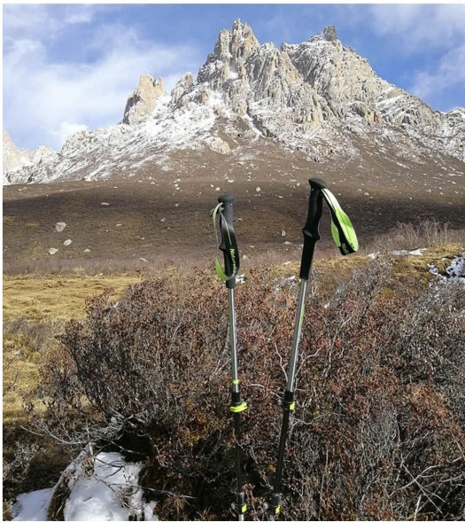 Треккинговая палка Naturehike 135 см, 1 шт., белый/красный в Екатеринбурге