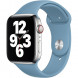 Ремешок для Apple Watch 40mm Northern Blue Sport Band (MYD02ZM/A), скандинавский синий в Екатеринбурге