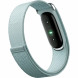 Фитнес-браслет Google Fitbit Air (Серо-голубой/Fog) в Екатеринбурге