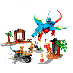Конструктор LEGO Ninjago 71759 Драконий храм ниндзя