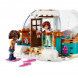 Конструктор LEGO Friends 41760 Праздничное приключение в иглу в Екатеринбурге