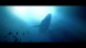 Игра Under The Waves [PS4, русские субтитры] в Екатеринбурге