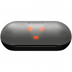 Беспроводные наушники Sony WF-C500, Black