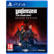 Игра Wolfenstein Youngblood Deluxe Edition [PS4, русская версия] в Екатеринбурге