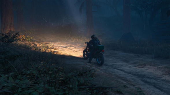 Игра Жизнь После (Days Gone) [PS4, русская версия] в Екатеринбурге