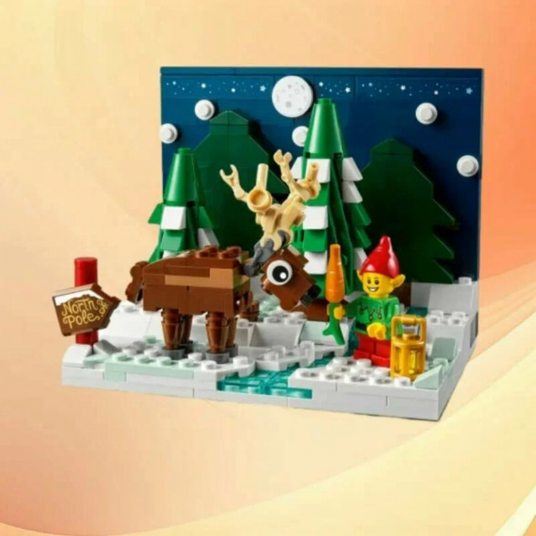 Конструктор LEGO 40484 Перед домом Деда Мороза в Екатеринбурге